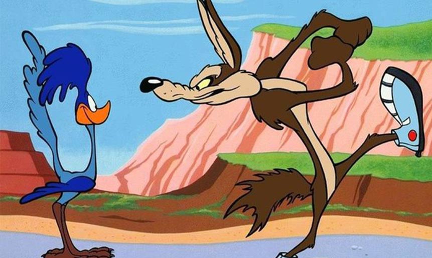 کایوت و رودرانر